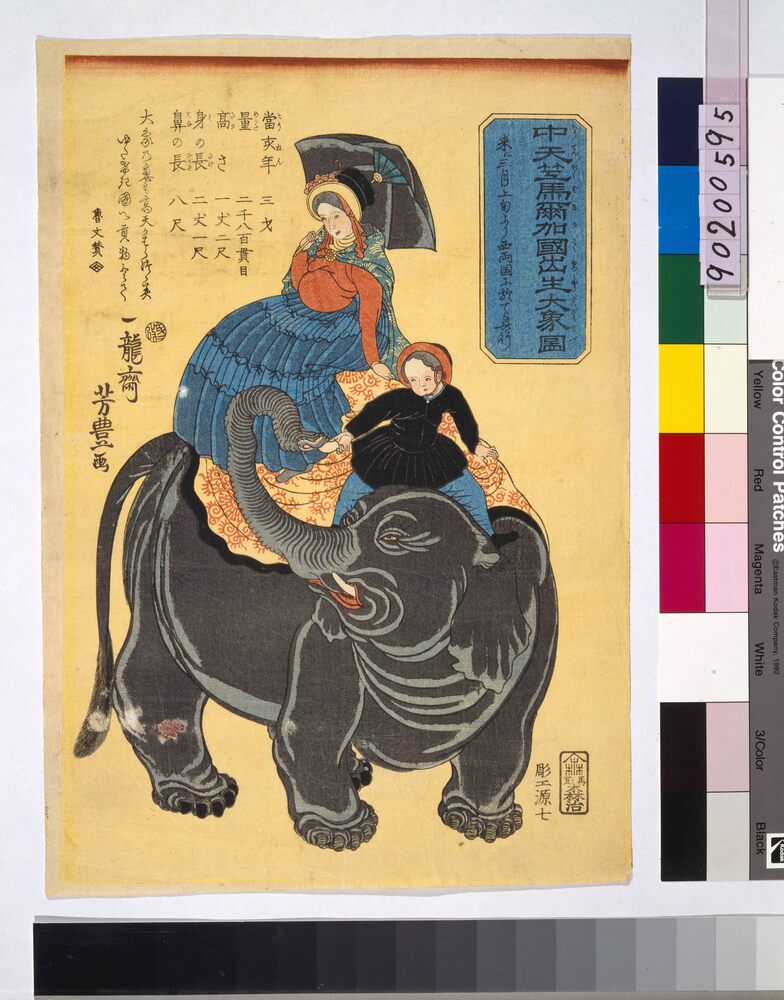 作品画像:中天笠バルカ国出生大象図