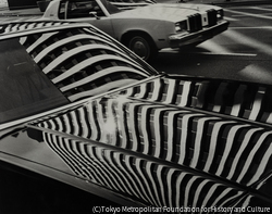 作品画像:車への反映 1