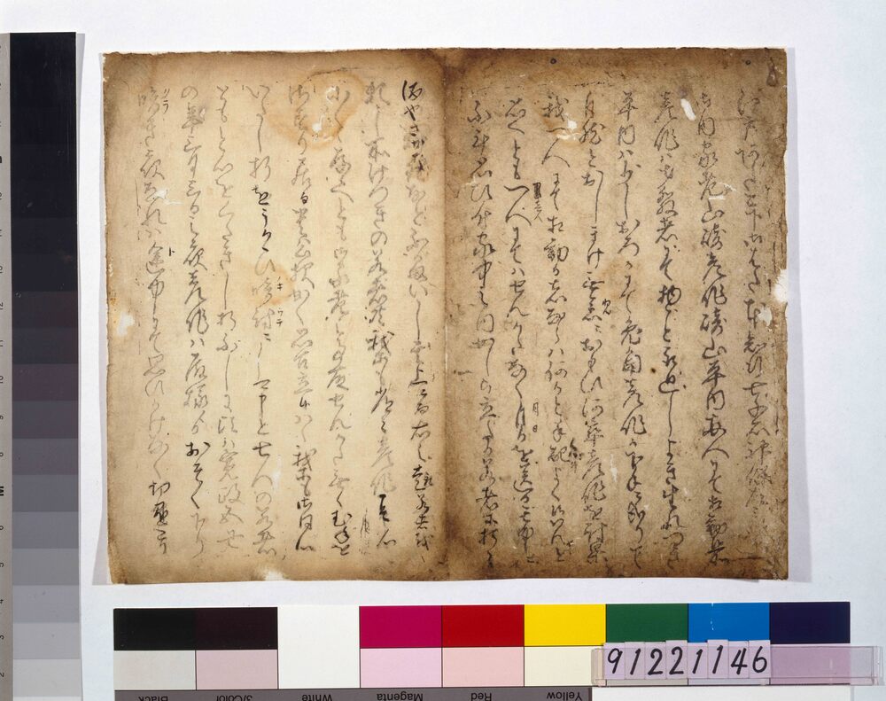 作品画像:江戸深川女敵討