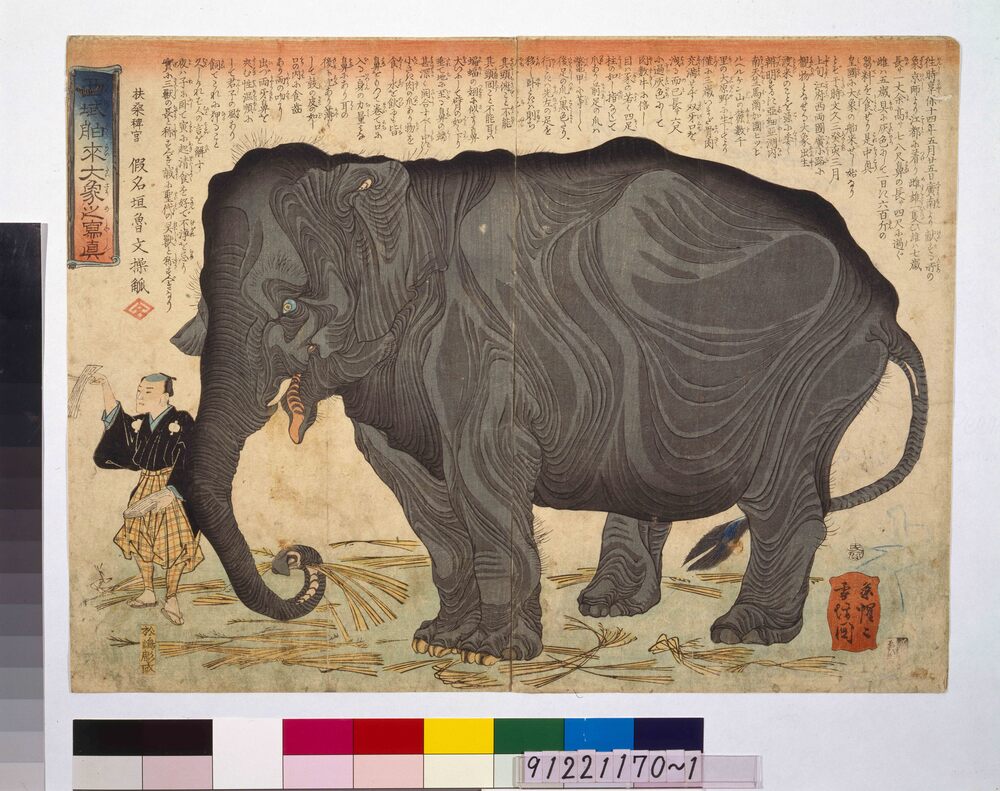 作品画像：西域舶来大象之写真