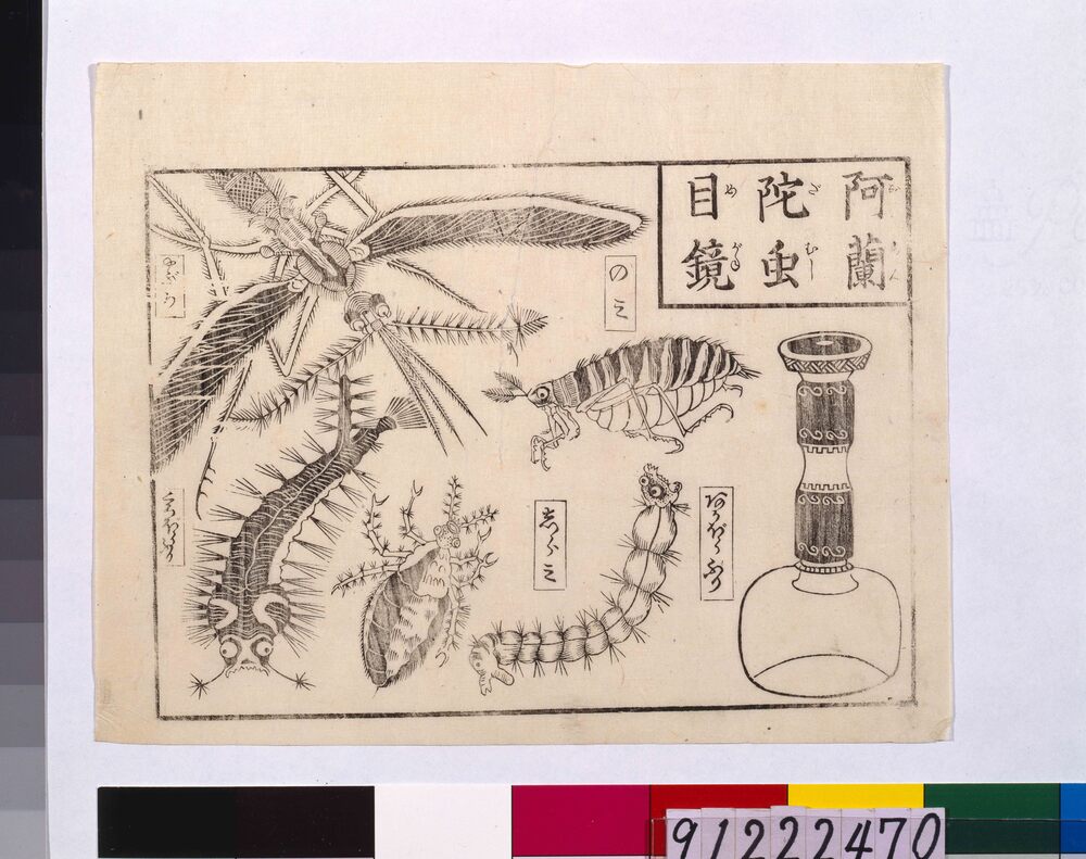 作品画像:阿蘭陀虫眼鏡
