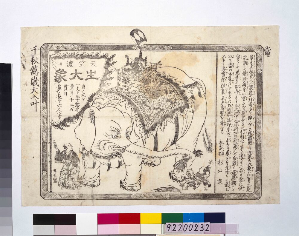 作品画像:天竺渡り生大象 辻ビラ