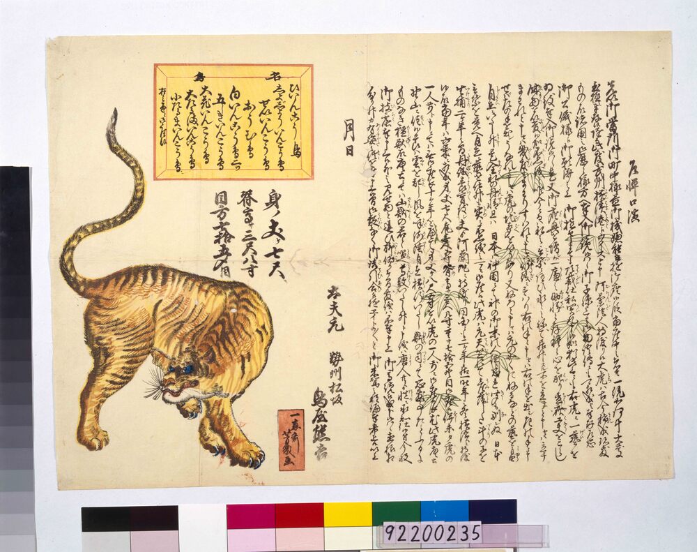 作品画像:虎の見世物 辻ビラ