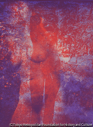 作品画像:Untitled (Nude)