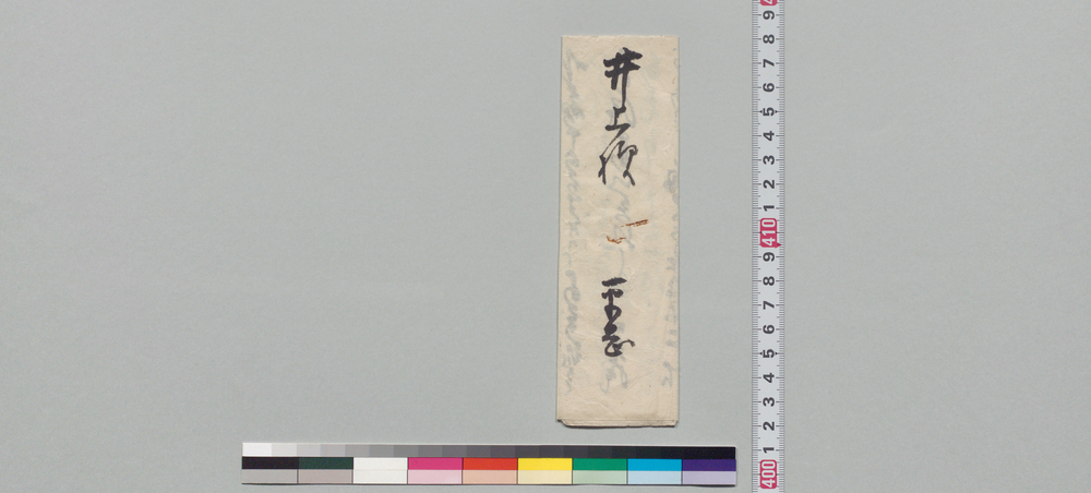 作品画像:井上貫流宛書状(薬服用後の容体報告)