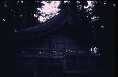 作品画像:東照宮の三猿