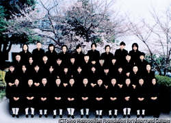 作品画像:
