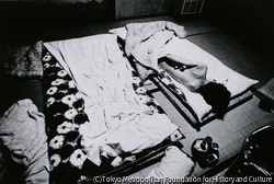 作品画像: