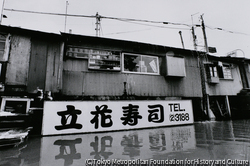 作品画像: