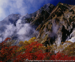 作品画像:五竜岳秋景(遠見尾根上部)