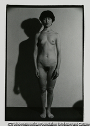 作品画像: