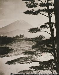 作品画像:富士山の遠景