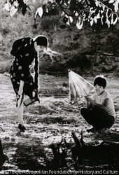 作品画像：
