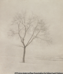 作品画像:東京暮雪
