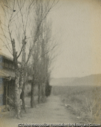 作品画像: