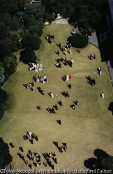 作品画像:明治記念館の結婚式