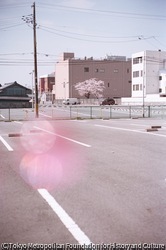 作品画像:いわき市、福島