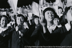作品画像: