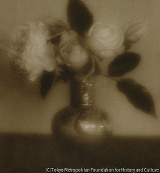 作品画像:薔薇