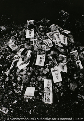 作品画像: