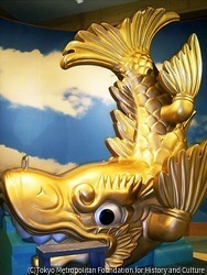 作品画像：shachihoko
