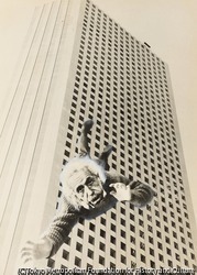作品画像:(ビルから下ちるアインシュタイン)