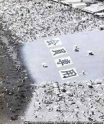 作品画像:(会員専用の海)