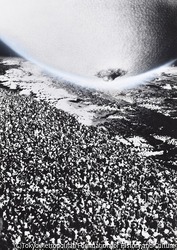作品画像:既知との遭遇