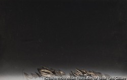 作品画像:(旗)