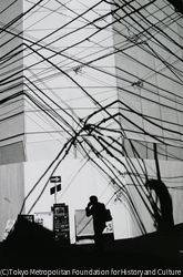 作品画像: