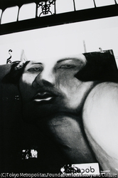 作品画像：