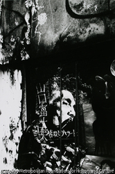 作品画像: