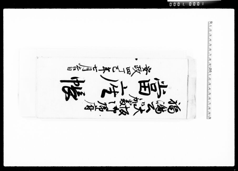 作品画像:福嶋公大坂御加番御帰府当座帳