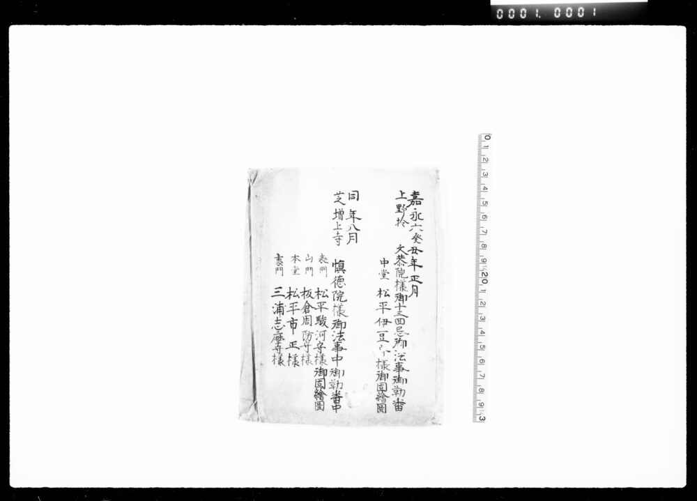 作品画像：[吉田公上野御勤番御固人数絵図面]