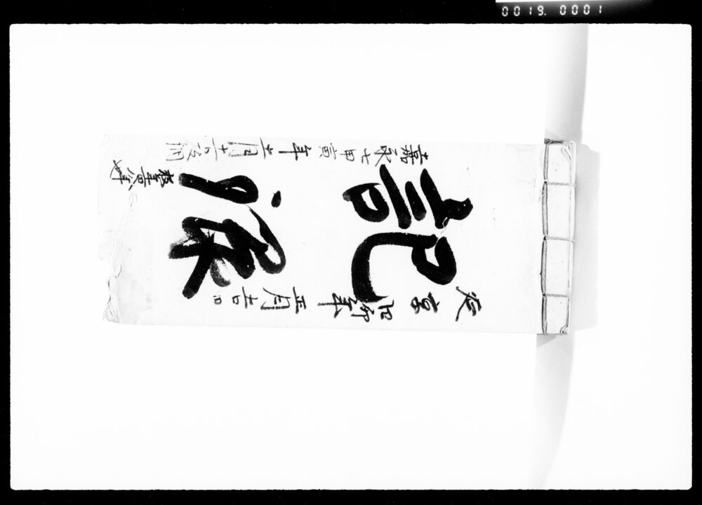 作品画像:記録