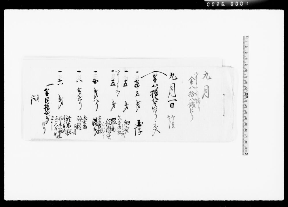 作品画像：[九月分家計簿]