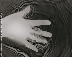 作品画像: