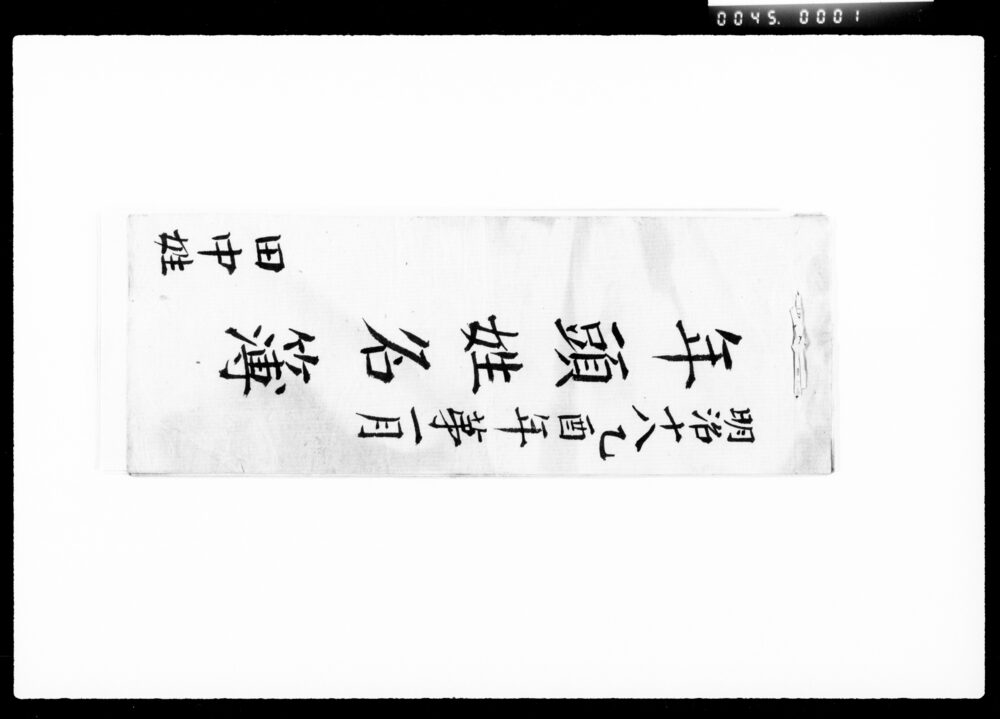 作品画像：年頭姓名簿