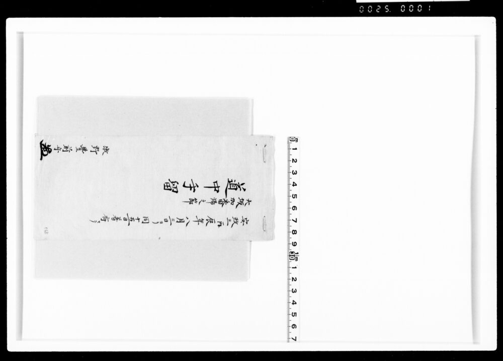 作品画像:大坂加番帰之節道中手留
