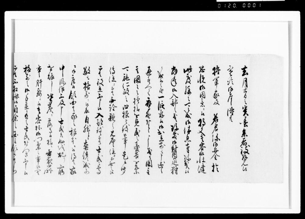 作品画像:細川越中守書簡(松平越後守宛返書、国主領主の心得)