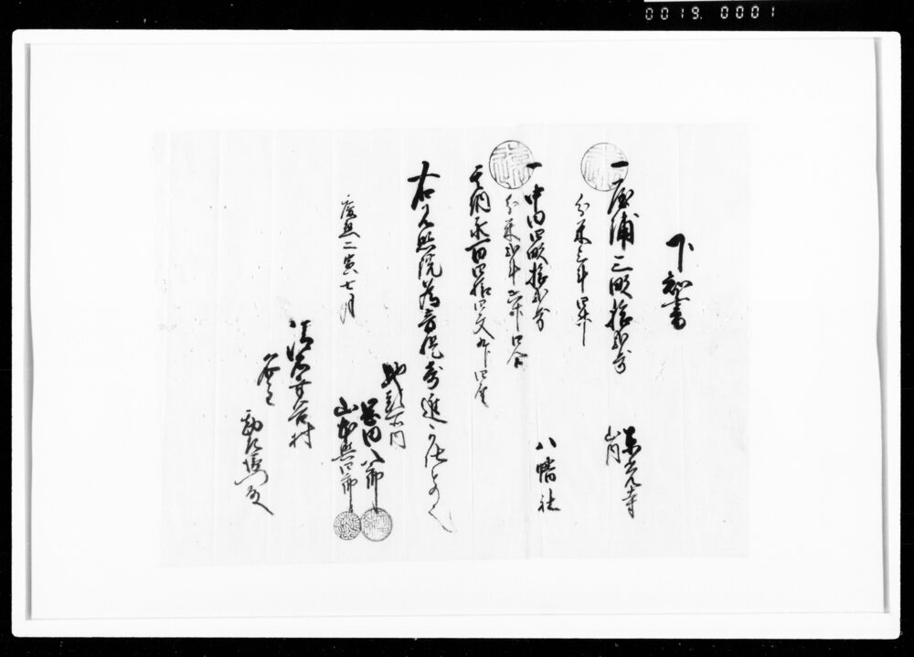 作品画像：下知書（見照院菩提のため寄進）