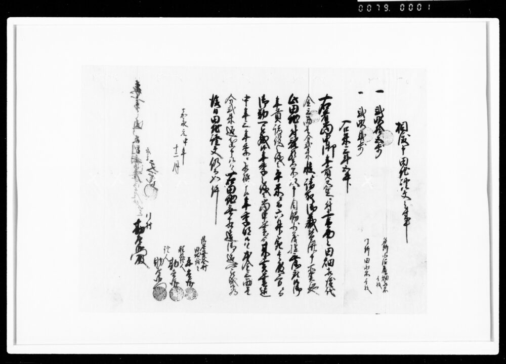 作品画像：相譲申田地証文之事（代金3両1分2朱請取）