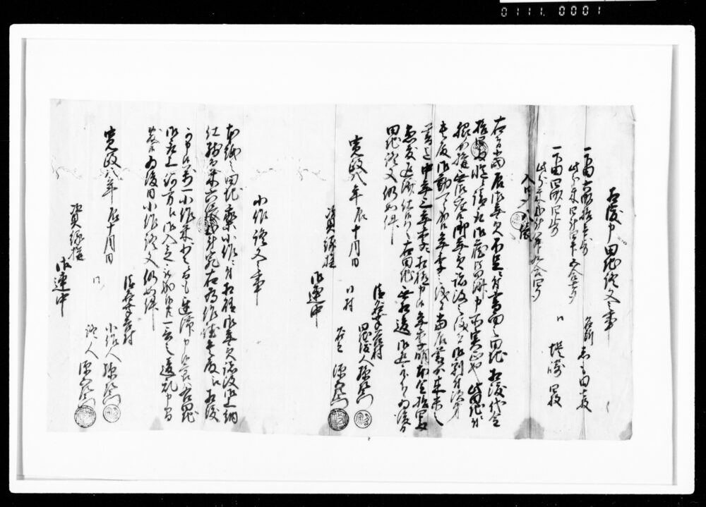 作品画像：相渡申田地証文之事（代金14両請取）