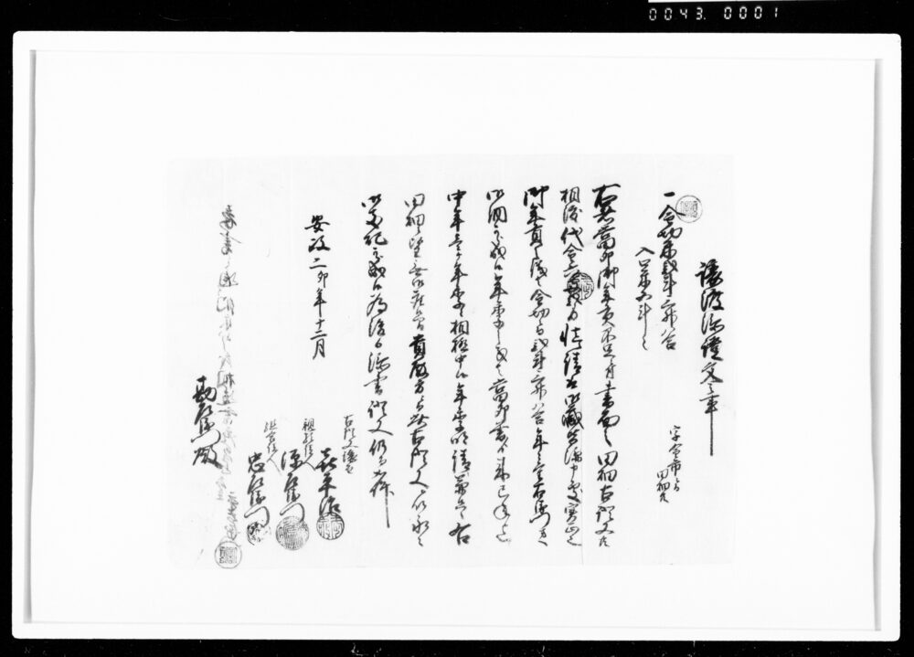 作品画像：譲渡添証文之事（田畑・代金6両2分請取）