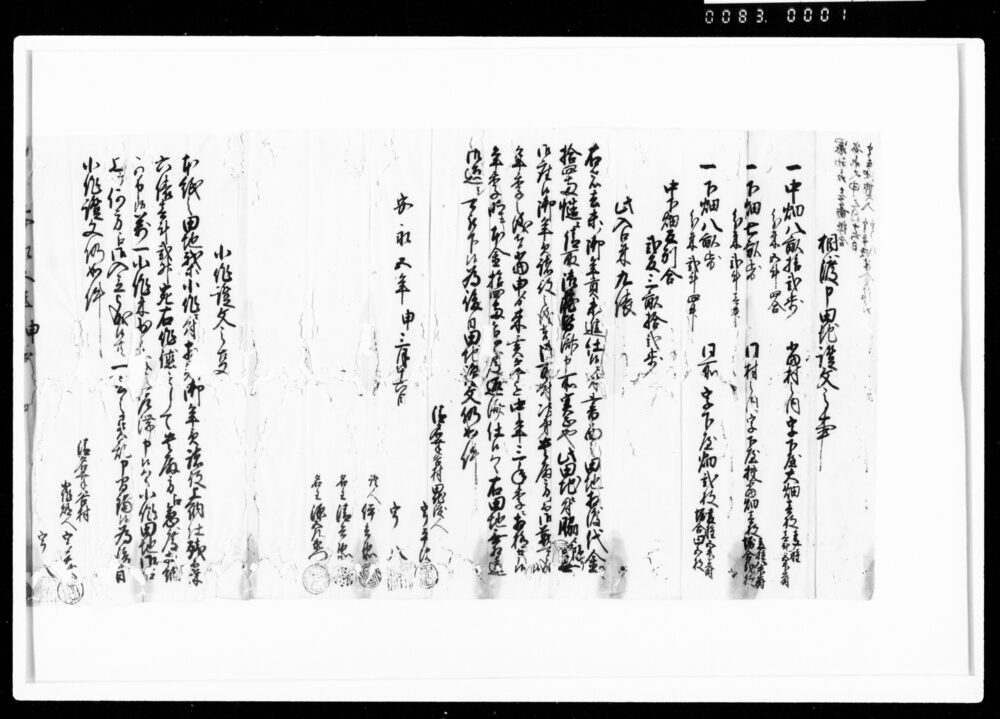 作品画像：相渡申田地証文之事（代金14両請取）