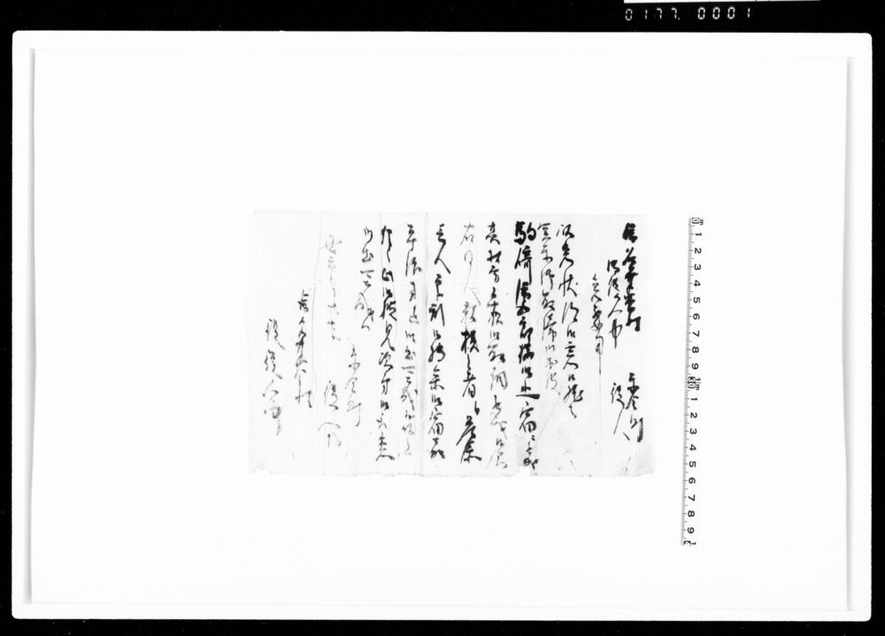 作品画像：書状（駒崎清五郎様御止宿につき）
