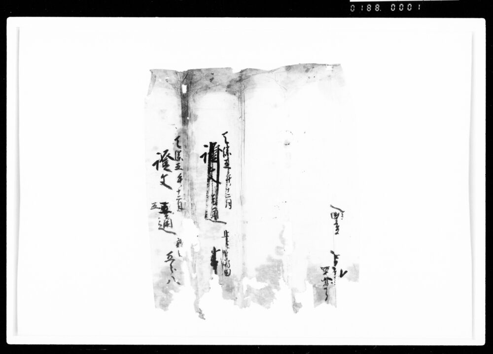 作品画像：[包紙]