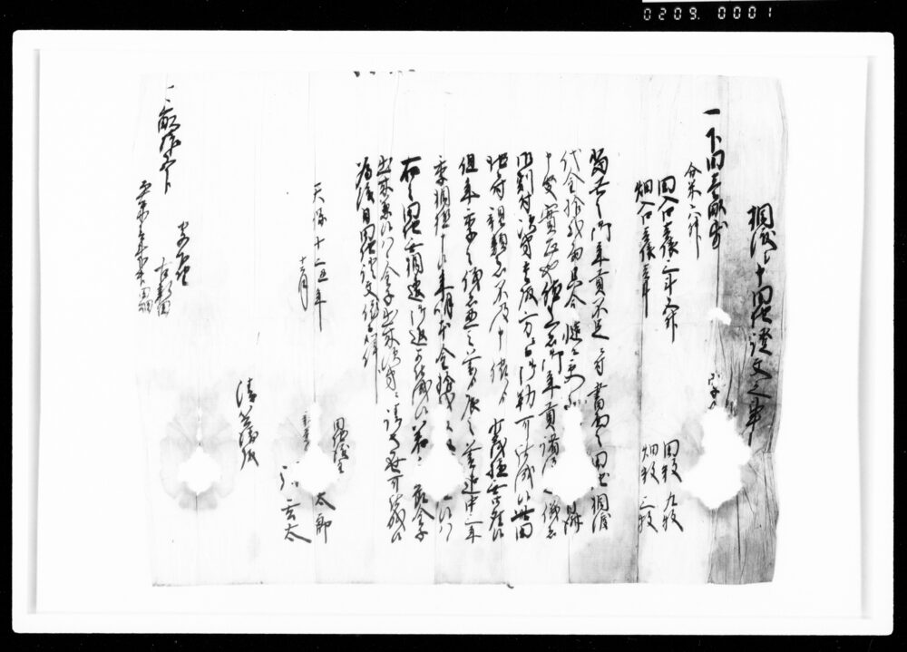 作品画像：相渡シ申田地証文之事（田畑・12両・控）