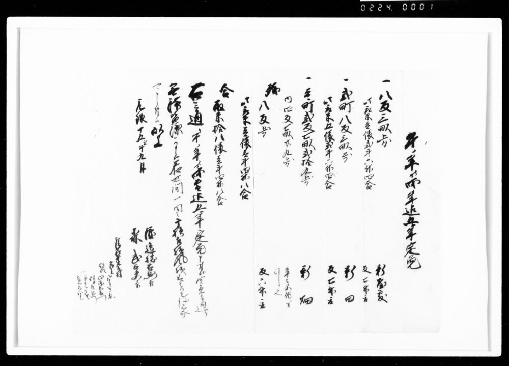 午ノ年より戌年迄五ヶ年定免(写)