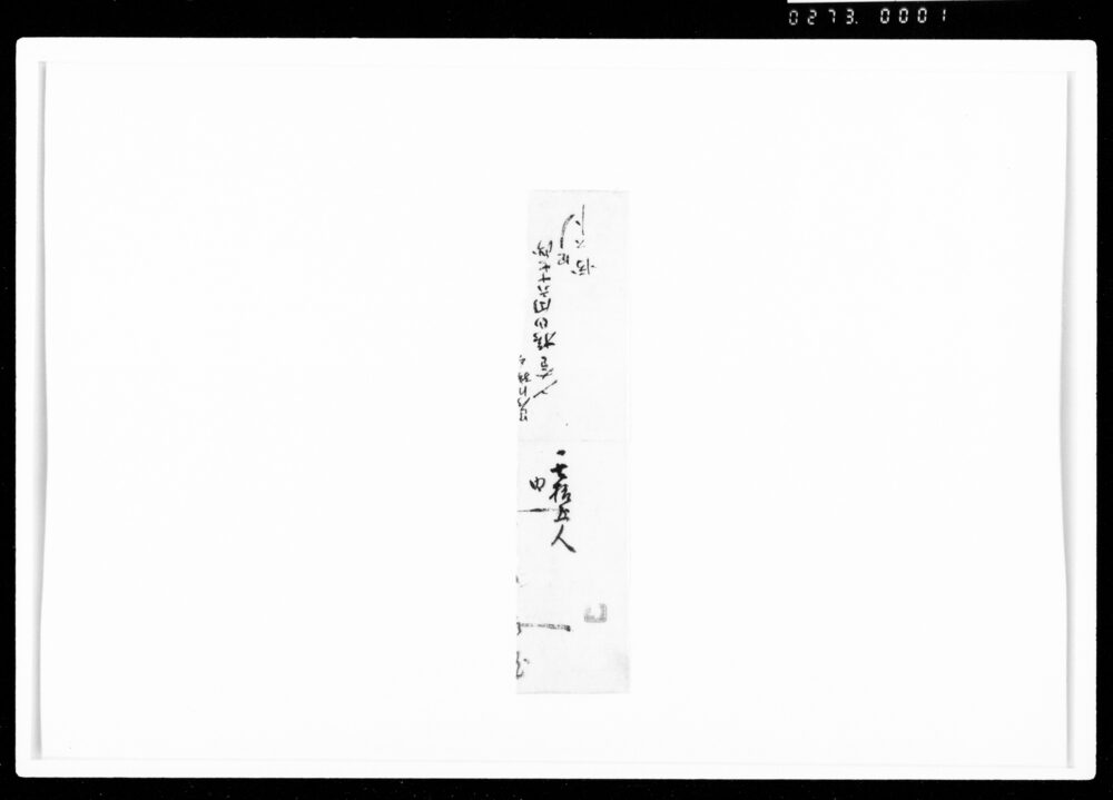 作品画像：[文書断簡]